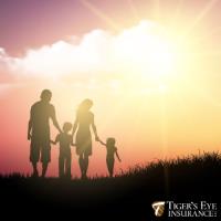 Tiger's Eye Insurance, LLC image 3